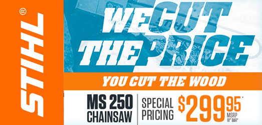 Sthil Chainsaw Spartanburg Dealer