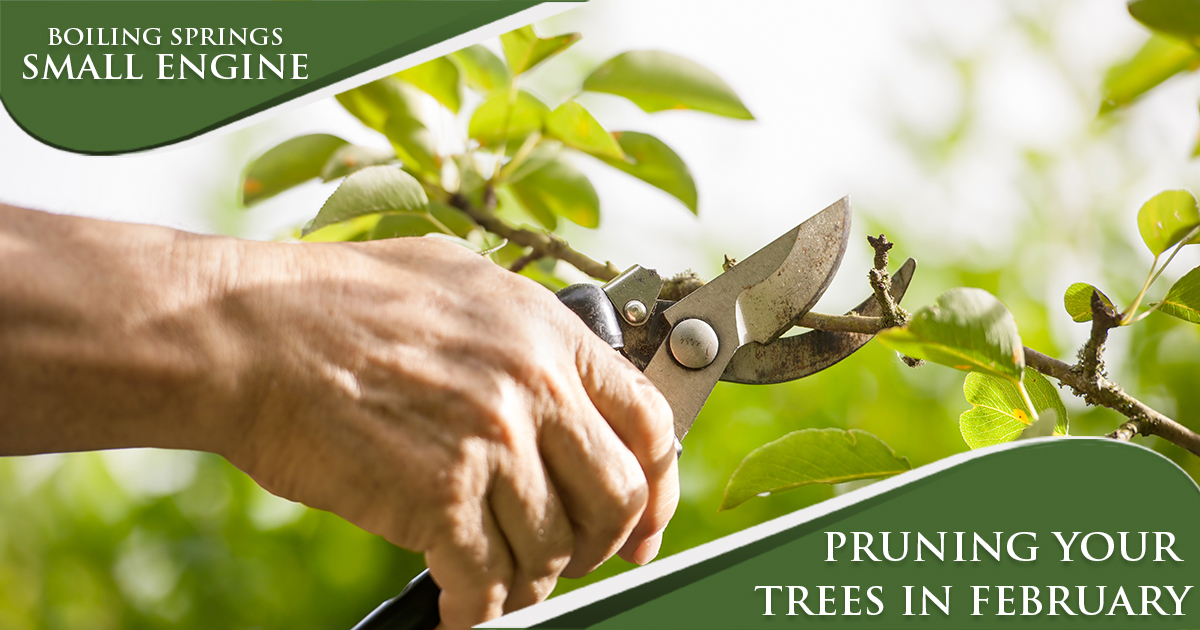 February Maintenance Tip – Pruning Your Trees