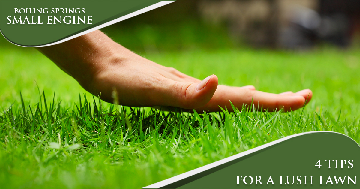 4 Tips for a Lush Lawn