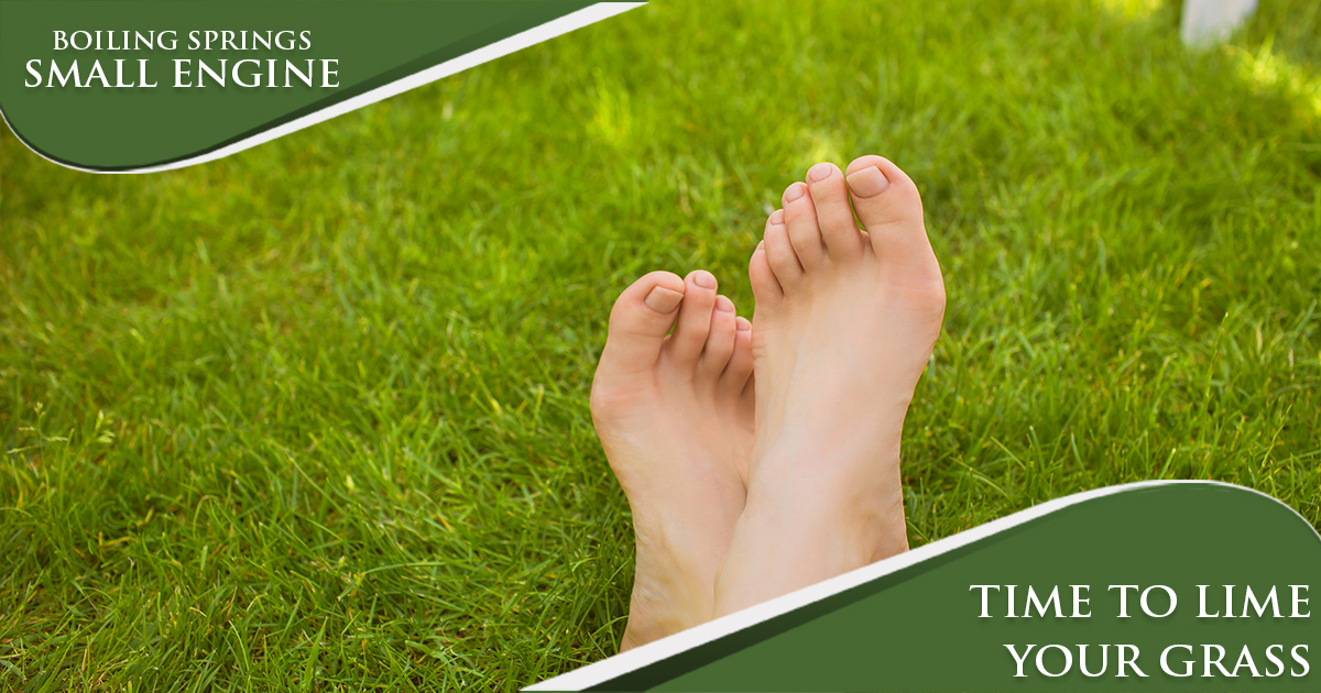 March Tip – Time To Lime Your Grass