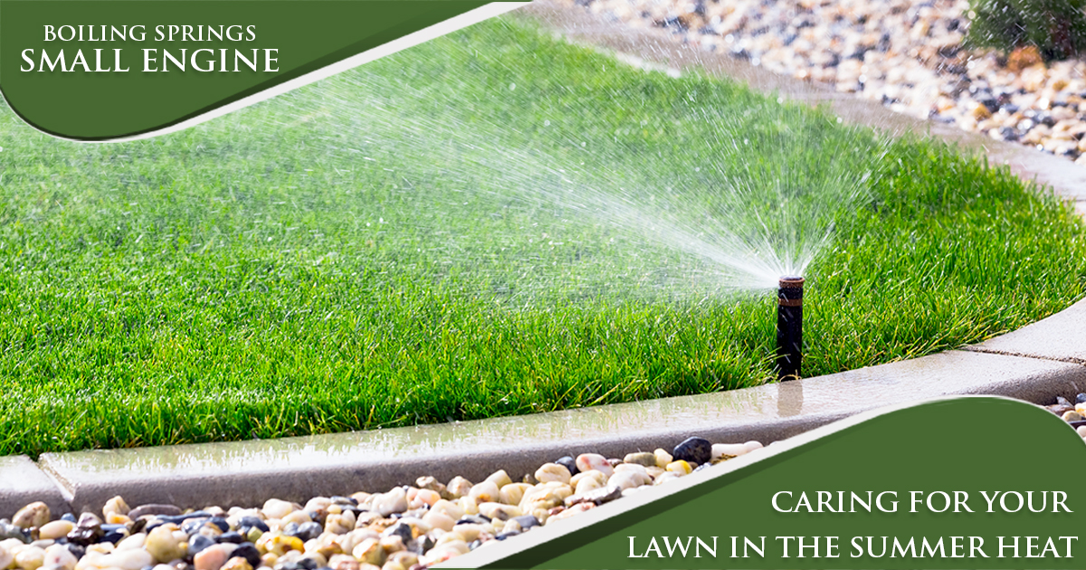 July Tip – Caring for your Lawn in the Summer Heat
