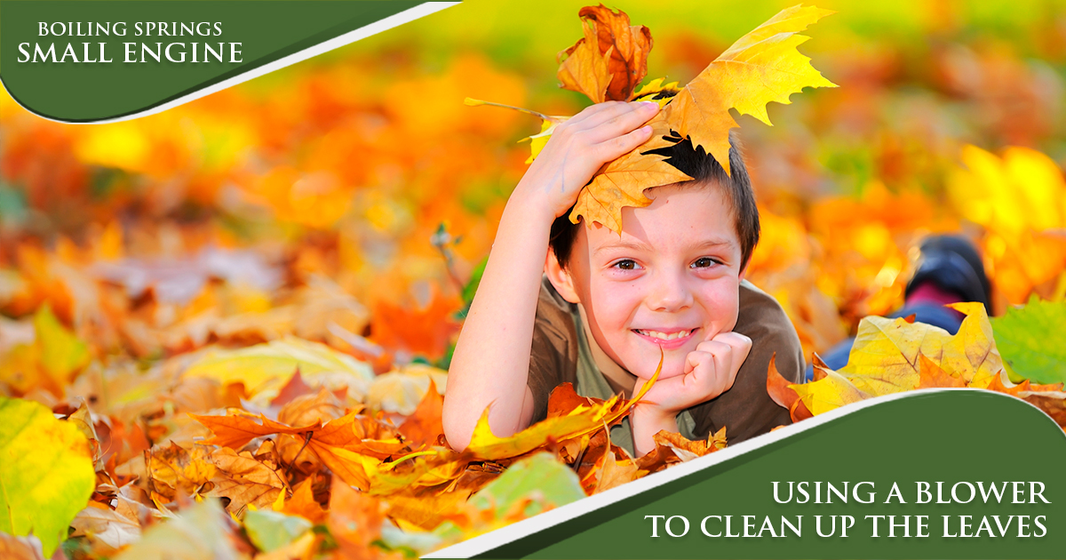 November Lawn Tip – Leaves are Falling