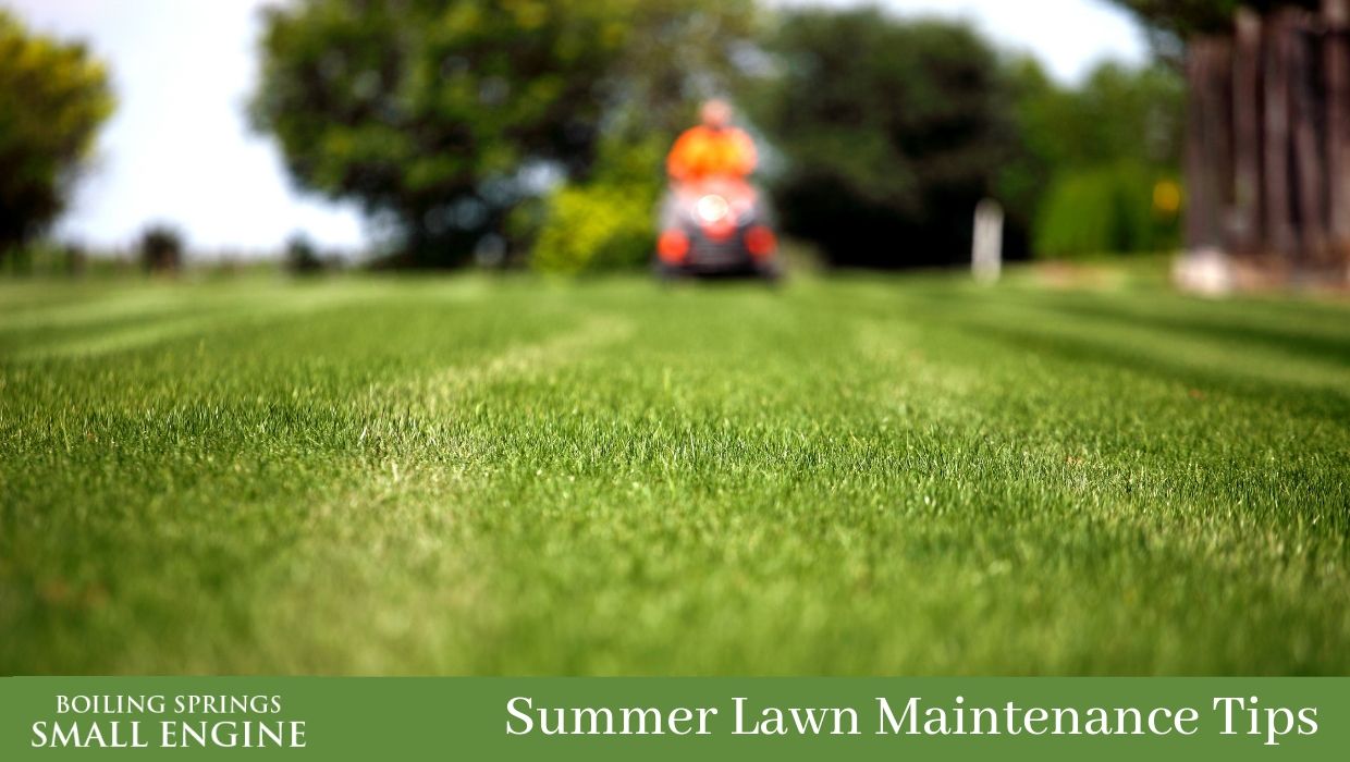 Summer Lawn Maintenance Tips