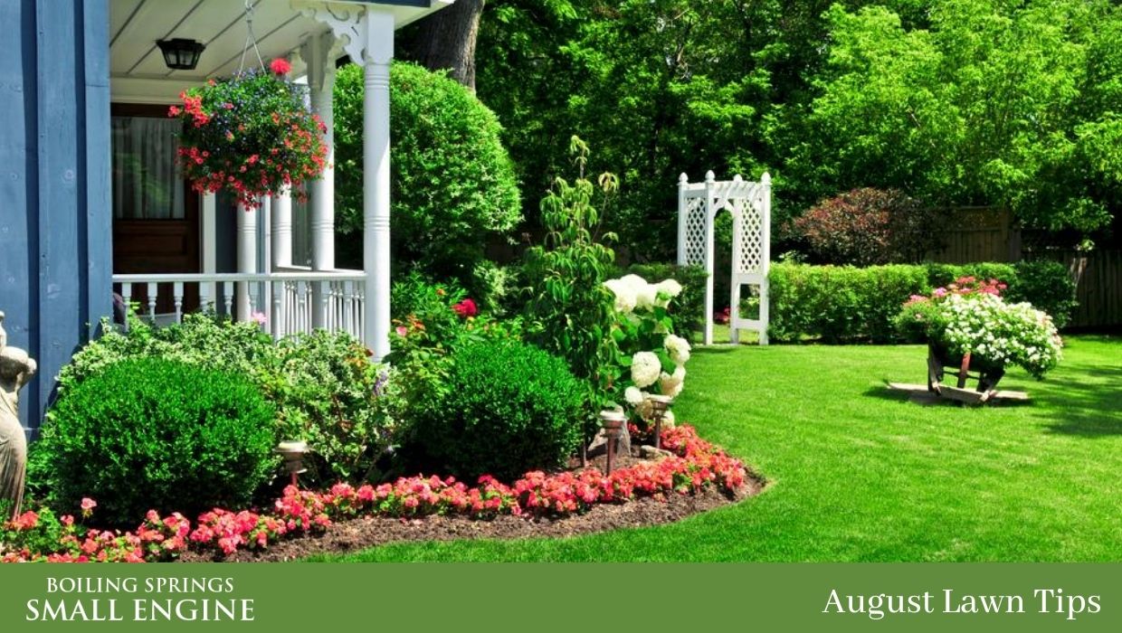 August Lawn Tips