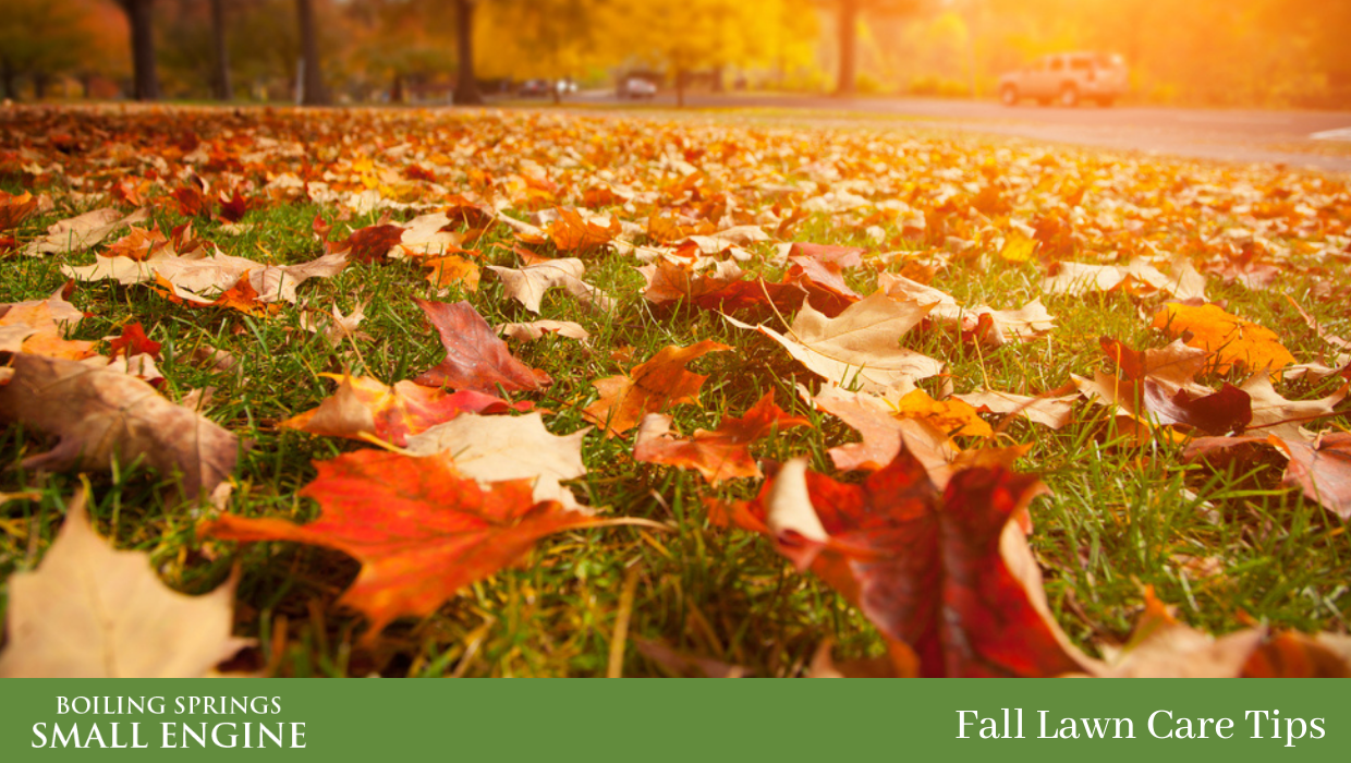 Fall Lawn Care Tips