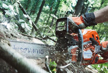 Husqvarna Chain Saws